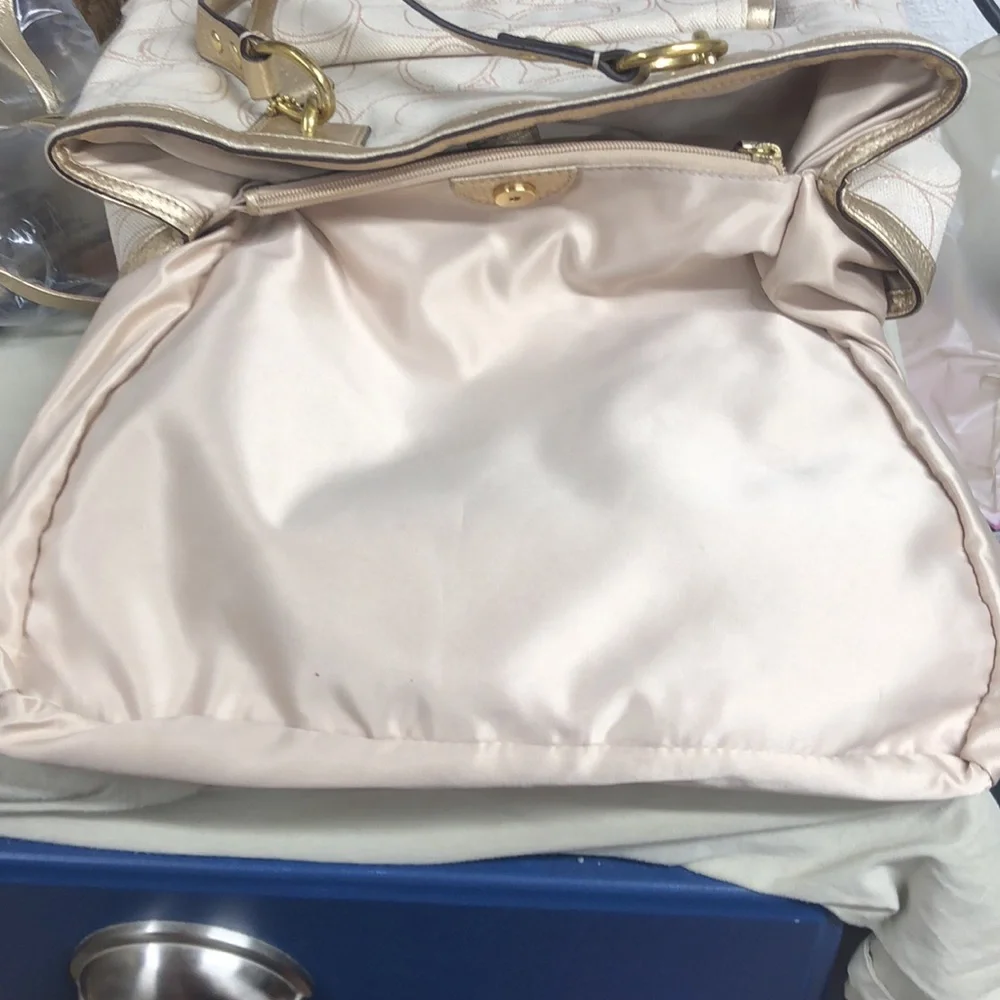 Coach this purse